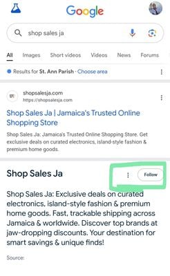 Google Follow Button Shop Sales Ja